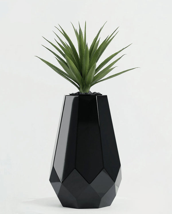 الخرشوفة بالصبارة سوداء