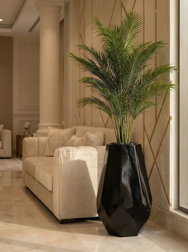 Artichoke Black Plam