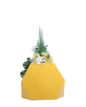 Model 1 (medium size) - MAZ