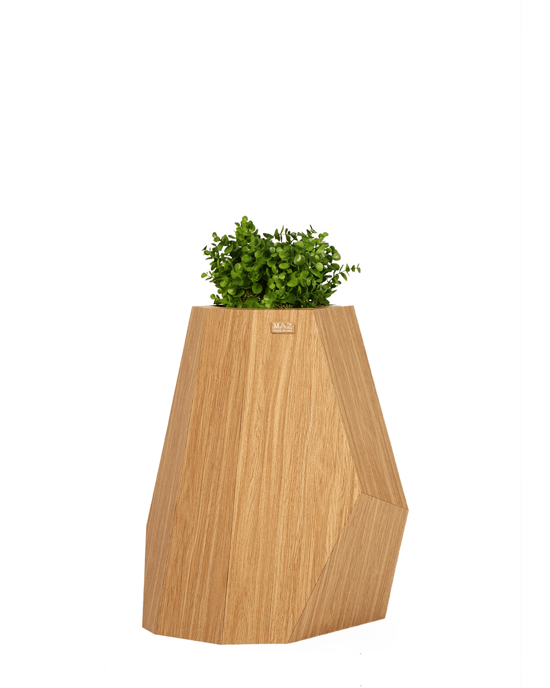 Model 2 (big size) - MAZ