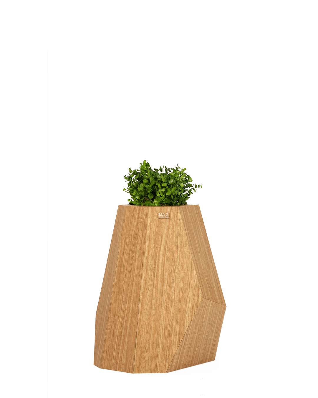 Model 2 (medium size) - MAZ