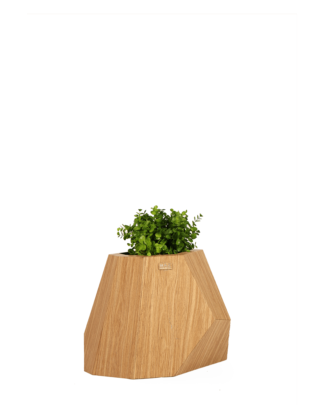 Model 2 (small size) - MAZ