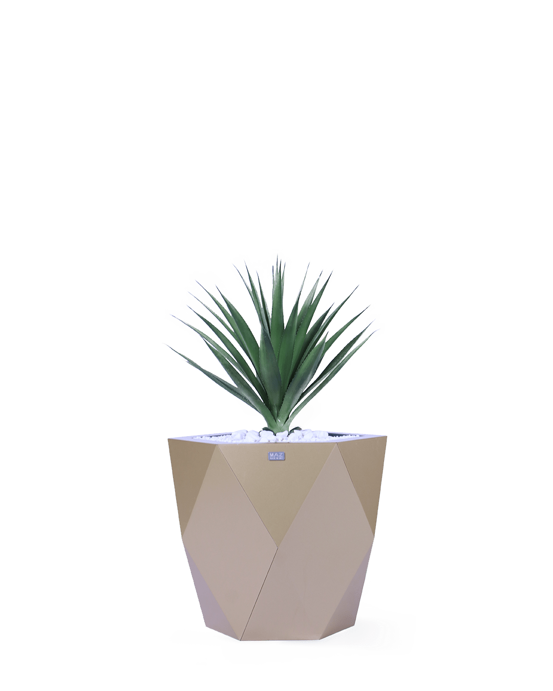 Model 3 (medium size) - MAZ