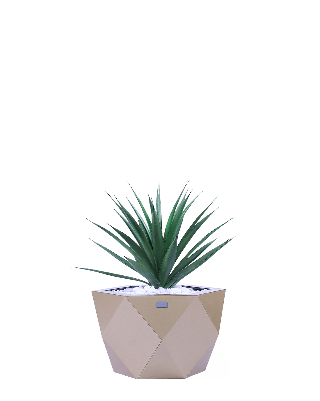 Model 3 (small size) - MAZ