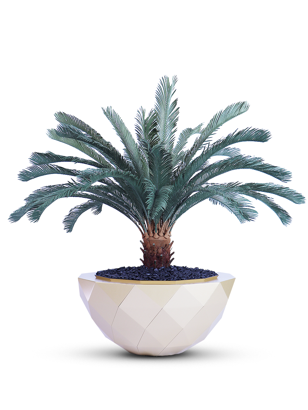 Palm tree vase - MAZ