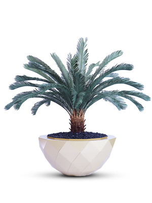 Palm tree vase - MAZ